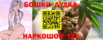 индика Кимры
