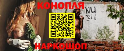 spice Кинель