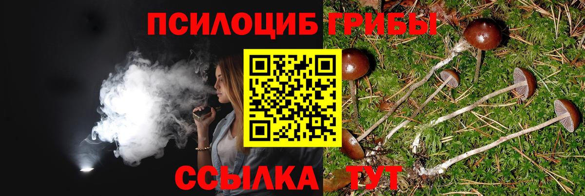 Галлюциногенные грибы мухоморы  Галлюциногенные грибы Cubensis  Кушва  Вход с VPN 