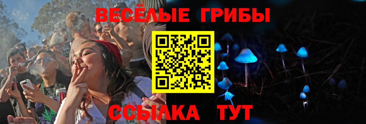 Галлюциногенные грибы ЛСД Кушва